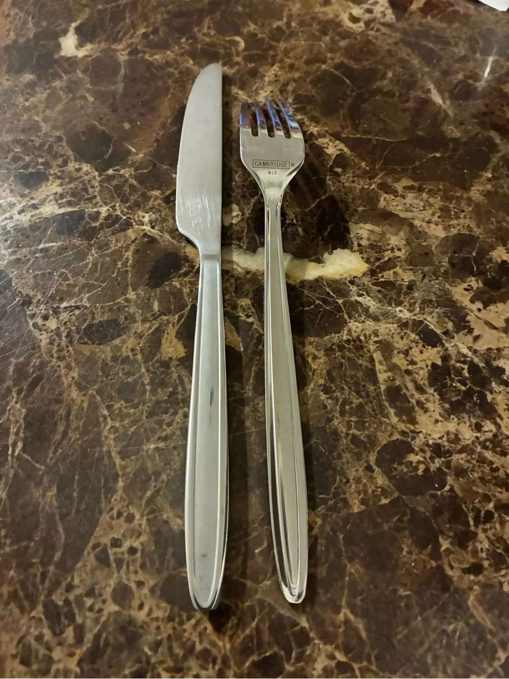 Stainless Steel Satin Handle Dinner Knife and Dinner Fork Cambridge
